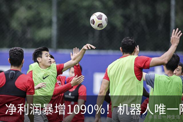 净利润暴增1090%！机器人唯一隐形冠军获主力锁定，减速器+3D打印+光伏