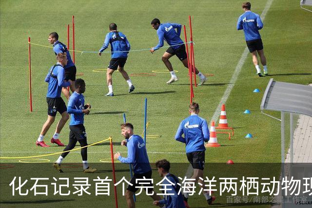 化石记录首个完全海洋两栖动物现身