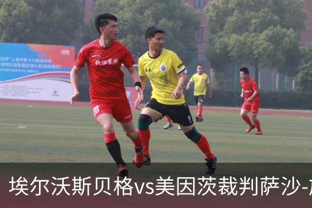 埃尔沃斯贝格vs美因茨裁判萨沙-施特格曼数据：近20场3红79黄7点