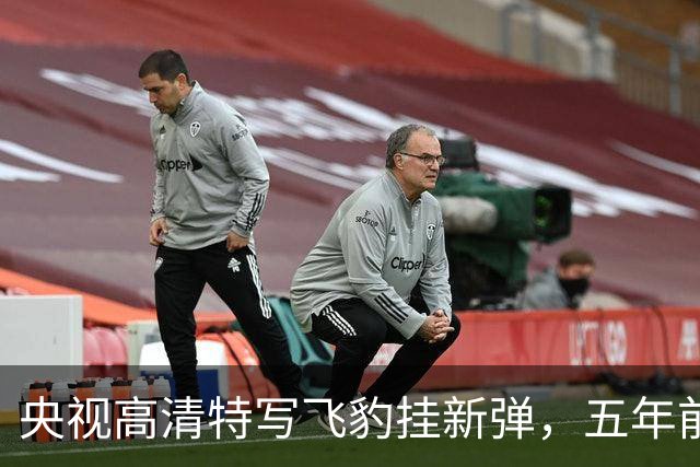 央视高清特写飞豹挂新弹，五年前传的东西这回坐实了