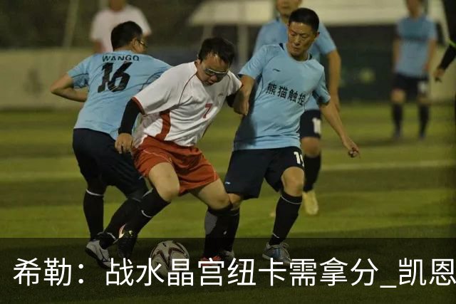 希勒：战水晶宫纽卡需拿分 凯恩理应斩获金球奖