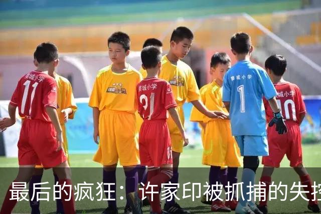 最后的疯狂：许家印被抓捕的失控三秒钟，简直是惊心动魄
