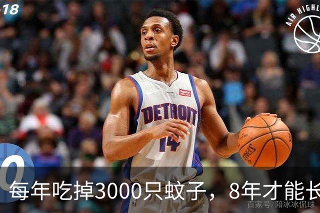 每年吃掉3000只蚊子，8年才能长大，却被人类作为美食大量捕捉