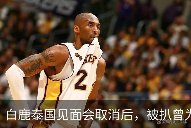 白鹿泰国见面会取消后，被扒曾为缅北拍宣传片，知情人爆更多内幕