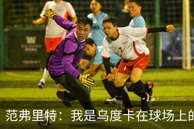 范弗里特：我是乌度卡在球场上的一个翻译 我当老好人他当坏人