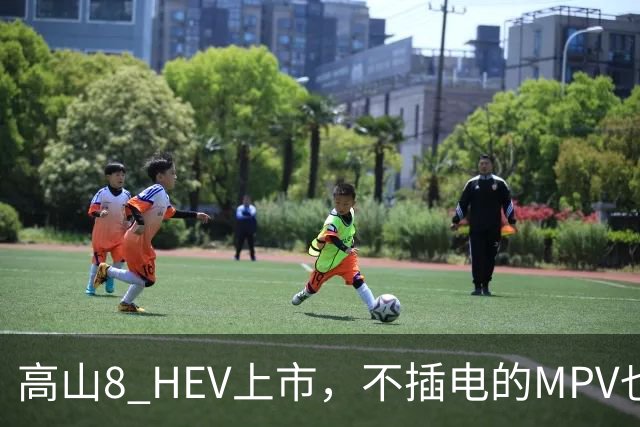 高山8 HEV上市，不插电的MPV也配激光雷达